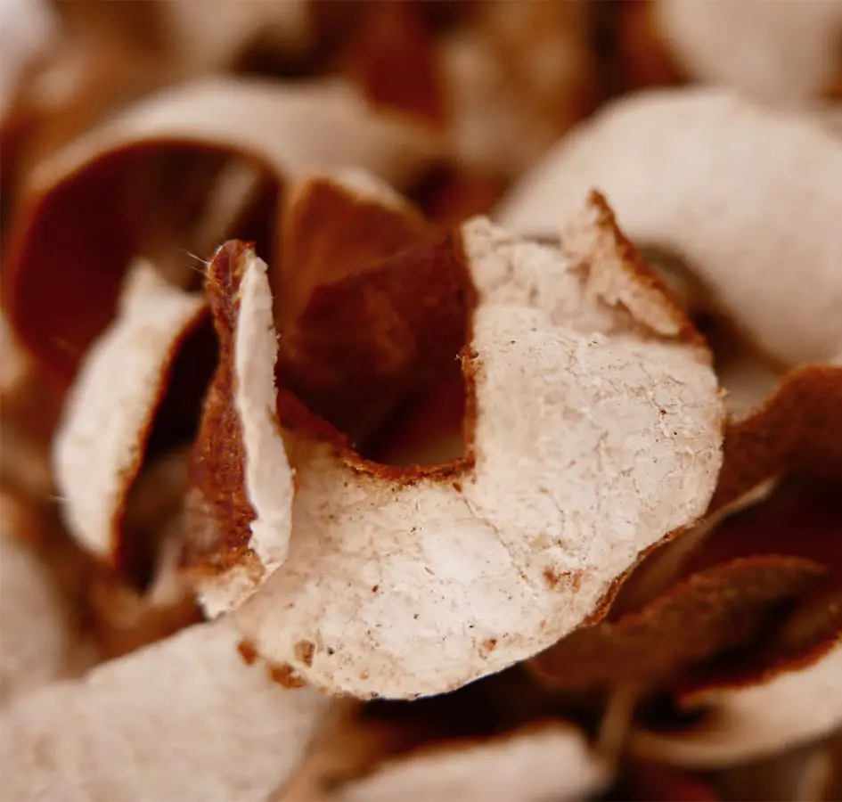 Gin-infusion-sourced-in-devon