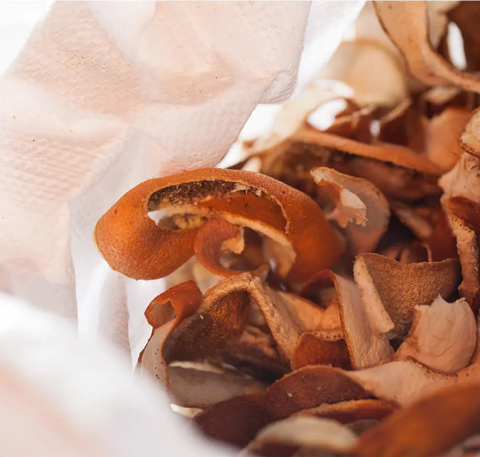 orange-botanicals-infusion-blend